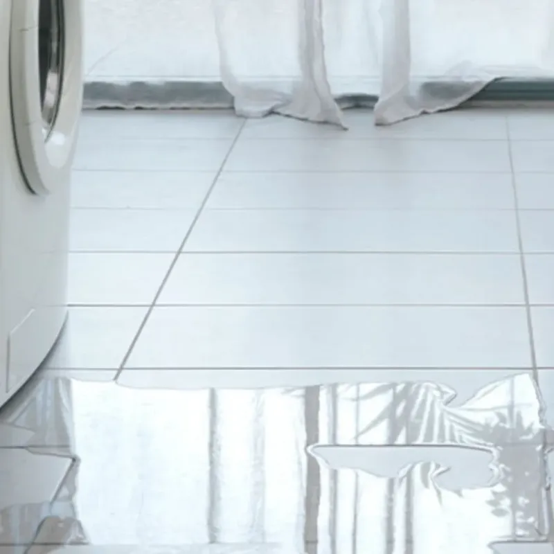 Appliance Leak Cleanup in Guayabal, PR