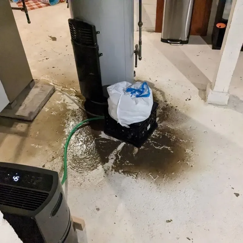 Sewage Backup Cleanup Service in Guayabal, PR